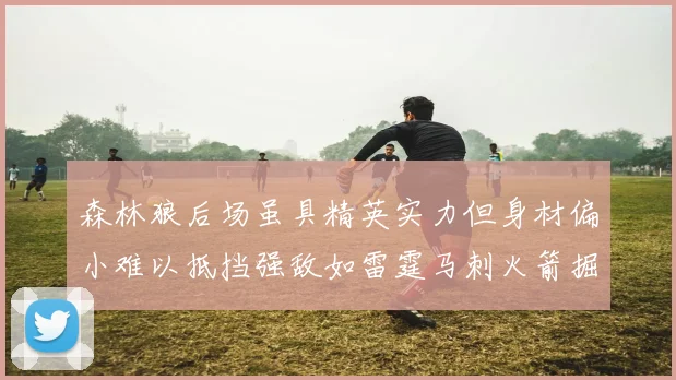 森林狼后场虽具精英实力但身材偏小难以抵挡强敌如雷霆马刺火箭掘金